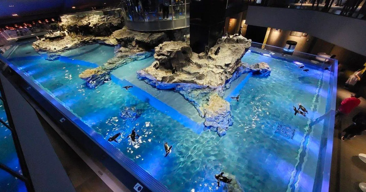 東京のSumida Aquarium