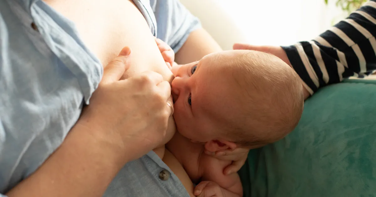 Ibu menyusui bayi secara langsung